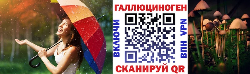 Купить где  Сычёвка  Псилоцибиновые грибы Cubensis 